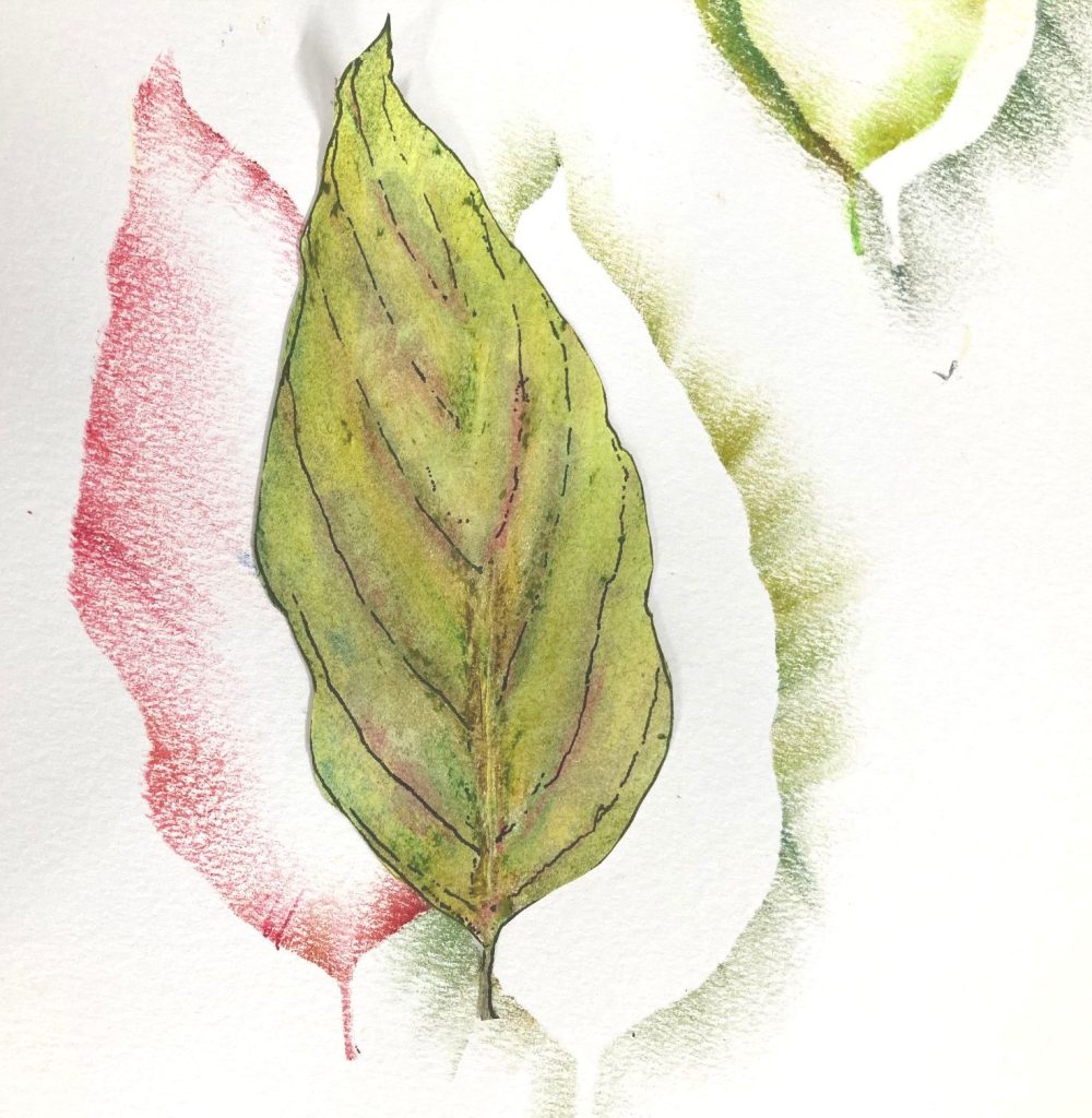 楽しさ広がるニュークレパス角型の画像